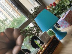 -捌楼咖啡书吧(南开店)