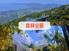 -三亚西岛海洋文化旅游区
