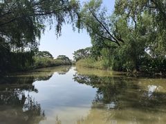 -大湾区中央湿地公园
