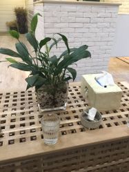 -丽雅朵云皮肤管理中心