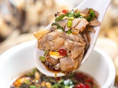 -顺德哥卜卜贝(旗舰店)