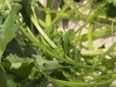 -蒙都43°9羊火锅·赤峰美食(宁城店)