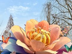 -老门东历史文化街区