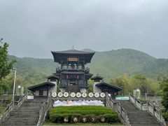 -大唐贡茶院