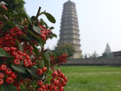 -法门文化景区