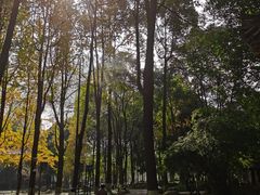 -温江公园