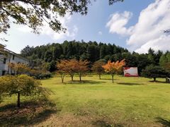 -四明山国家森林公园