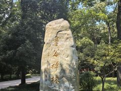 -灵谷景区