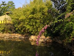 -清远熹乐谷温泉度假酒店