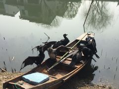 -尚贤河湿地