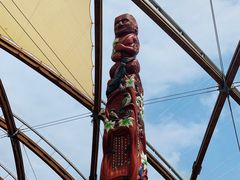 -怀托摩萤火虫洞