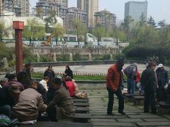 -成都市活水公园