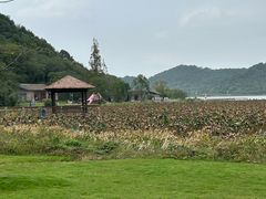 -东钱湖旅游度假区
