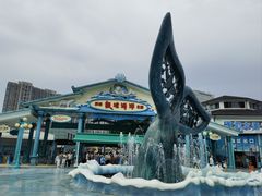 -海合安成都极地海洋公园