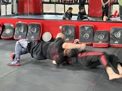 -极斗-IKMF马伽术·格斗运动学院(东直门店)