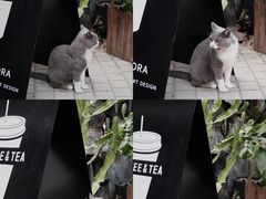 -花十悦·鲜花咖啡餐厅(振业城一期店)