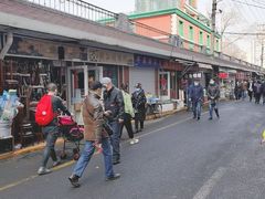 -哈尔滨道外花鸟鱼市场