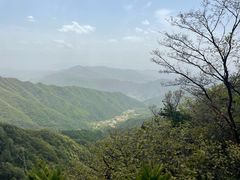 -王顺山国家森林公园