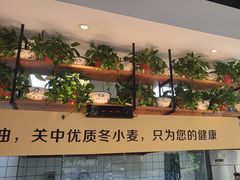 -宋益驴蹄子面肉夹馍(辛家庙店)