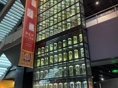 -广东中医药博物馆