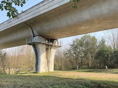 -桤木河湿地公园