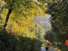 -桃花岭景区