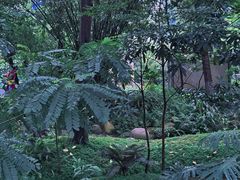 -成都市活水公园