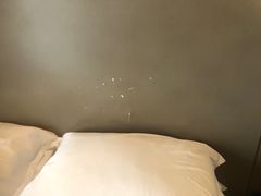-廊坊固安福朋喜来登酒店