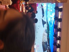 -沪华海鲜大酒楼(南汇店)