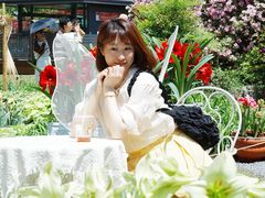 -上海鲜花港