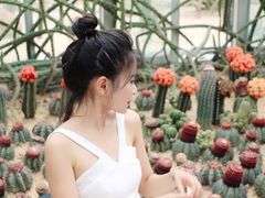 -深圳仙湖植物园-停车场