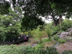 -晓港公园