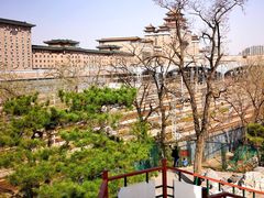 -莲花池公园