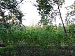 -晓港公园