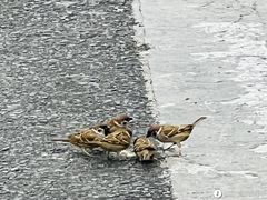 -苏州图书馆(姑苏区分馆)