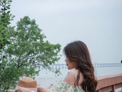 -宝安西湾红树林湿地公园