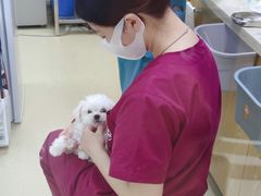 -芭比堂动物医院广州顽皮分院