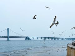 -星海广场