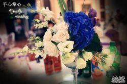-DNA Wedding 婚礼记(上海店)