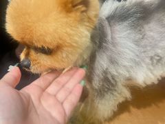 -北里·4k影院式足疗SPA馆(观音桥店)
