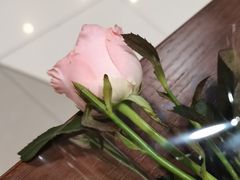 -面乙新派手擀面(大悦城店)