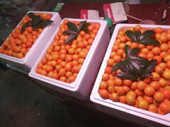 -菜园坝水果市场