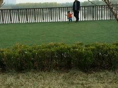 -大兴滨河森林公园