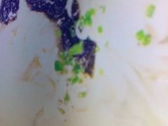 招牌鲜虾小馄饨-苏小柳手工点心(人民广场分院)