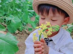 -光明小镇欢乐田园
