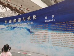 -中国地质大学逸夫博物馆