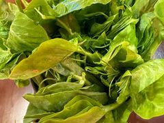 蜿豆尖好新鲜-江北北火锅馆·公路夜市(魏公村店)