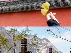 -华山风景名胜区