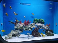 -海合安武汉极地海洋公园