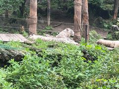 -贵州森林野生动物园